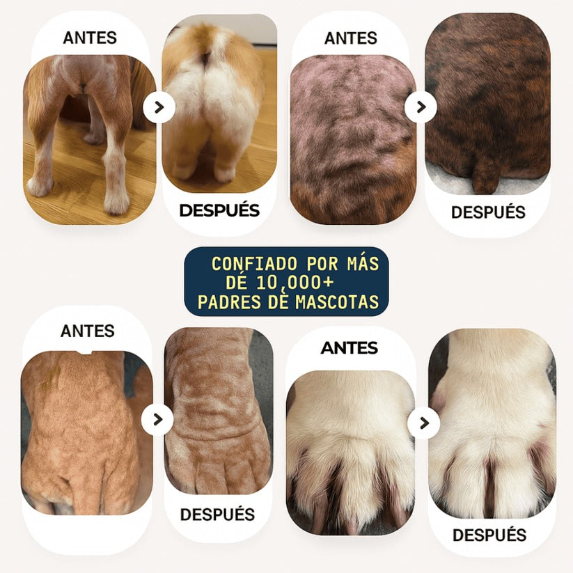 TRATAMIENTO NATURAL PARA PIEL ROJA, IRRITADA, CON GRANITOS O DERMATITIS